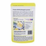 Freeze-dried pineapple powder centralsun 2