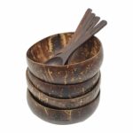 Coconut Bowl 4 pc + spoons