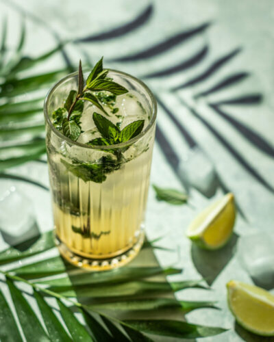 имбирный мохито centralsun