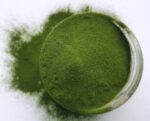 Barley grass juice powder odraorase mahlapulber centralsun