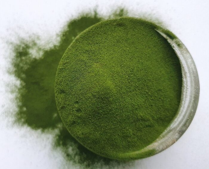 Barley grass juice powder odraorase mahlapulber centralsun