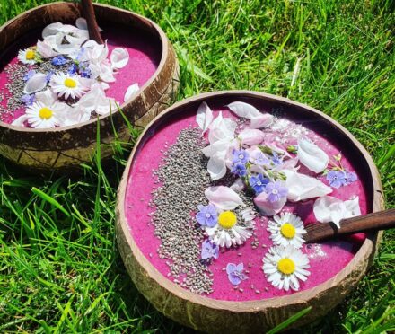 Kokosschale Jumbo – Nachhaltig & Handgemacht | Centralsun sample