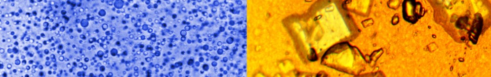 Liponaturals liposomal vitamin C liposoomne c vitamiin centralsun back 2