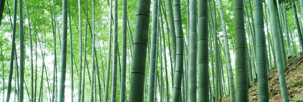 silica capsules epigenetics centralsun