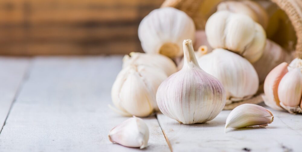 garlic powder centralsun