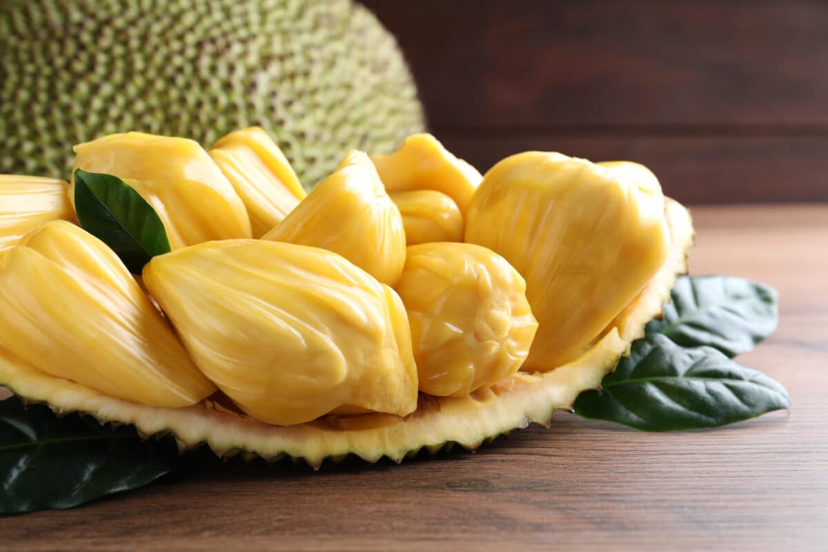 Jackfruit powder centralsun