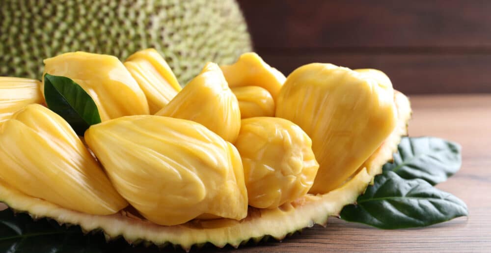 Jackfruit powder centralsun