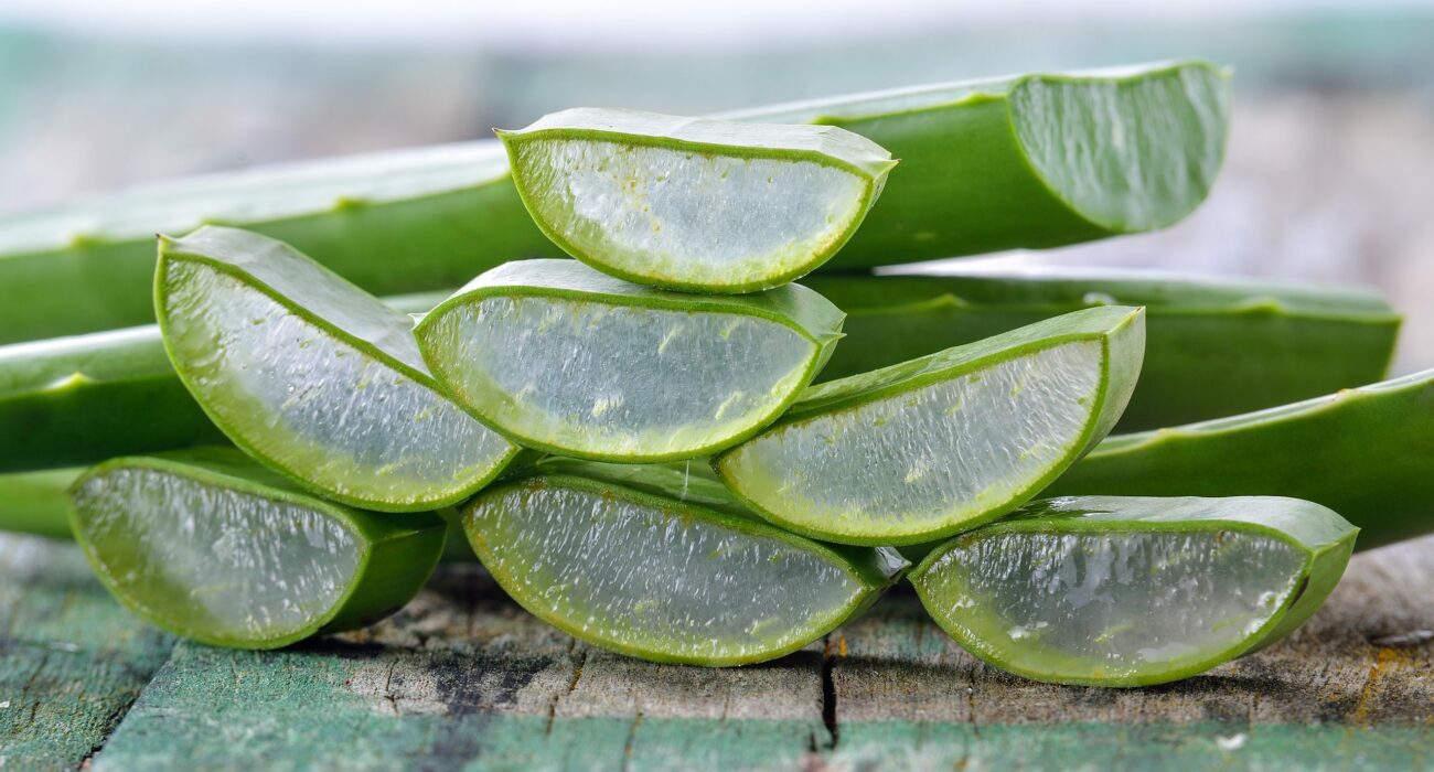 Aloe vera extract capsules 200:1 Centralsun