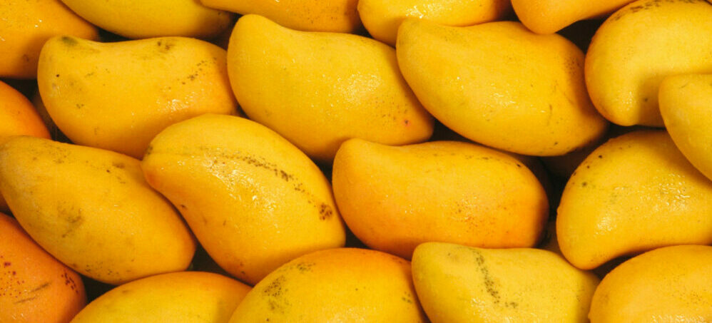 k[lmkuivatatud mango pulber centralsun