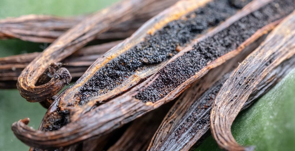 organic vanilla powder centralsun