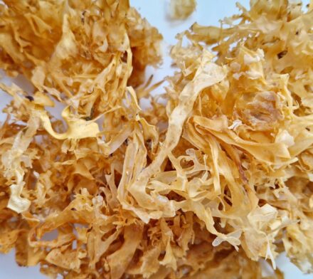 Organic Irish sea moss - Image 3