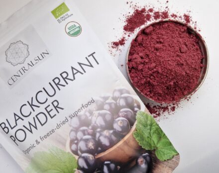 Organic freeze-dried blackcurrant powder - Image 3