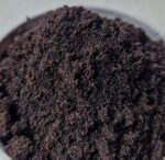 Vanilla seeds Centralsun