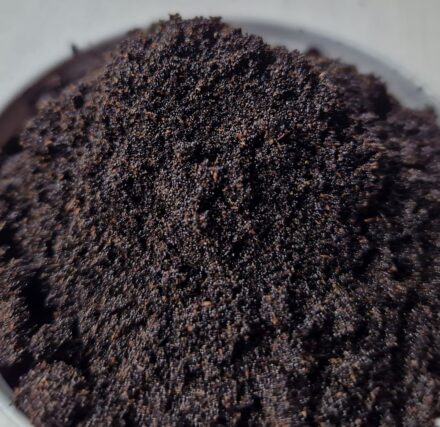 Vanilla seeds Centralsun