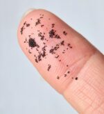 Vanilla seeds Centralsun 2