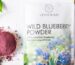 Canadian Freeze-dried wild blueberry powder Centralsun